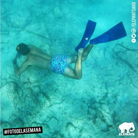 ElepantsCba's tweet photo. #Elepants.    #AlAgua. http://t.co/6odhQcpGCg