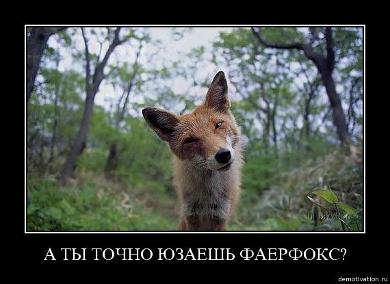 skellMon's tweet image. 