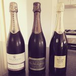 Photo by Uniquely Tasmanian (@UniquelyTas)