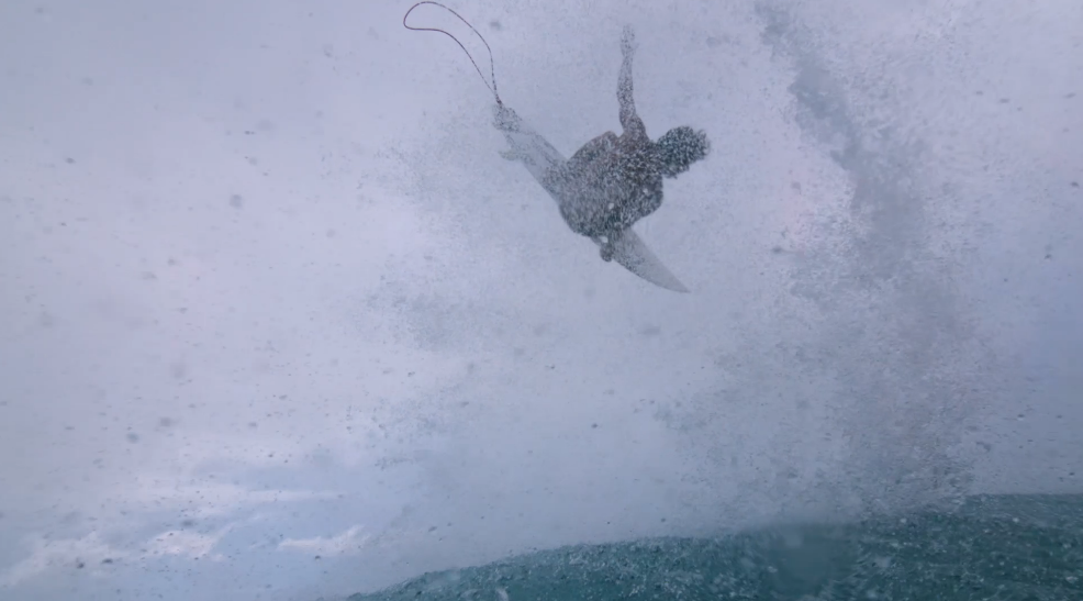 Surfline tweet media