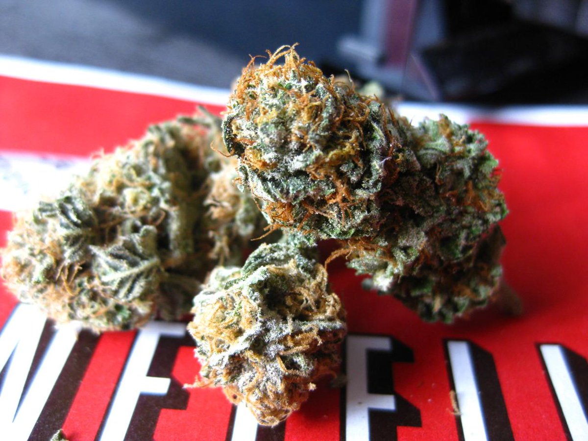 HighStories_'s tweet photo. Weed + Netflix = My Day http://t.co/c1RvdBzeG2