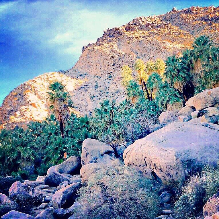 Super rad hike today #49palms #jtnp #oasis ✌️🌀🌴☀️