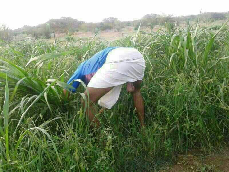 RobashboyNat tweet picture