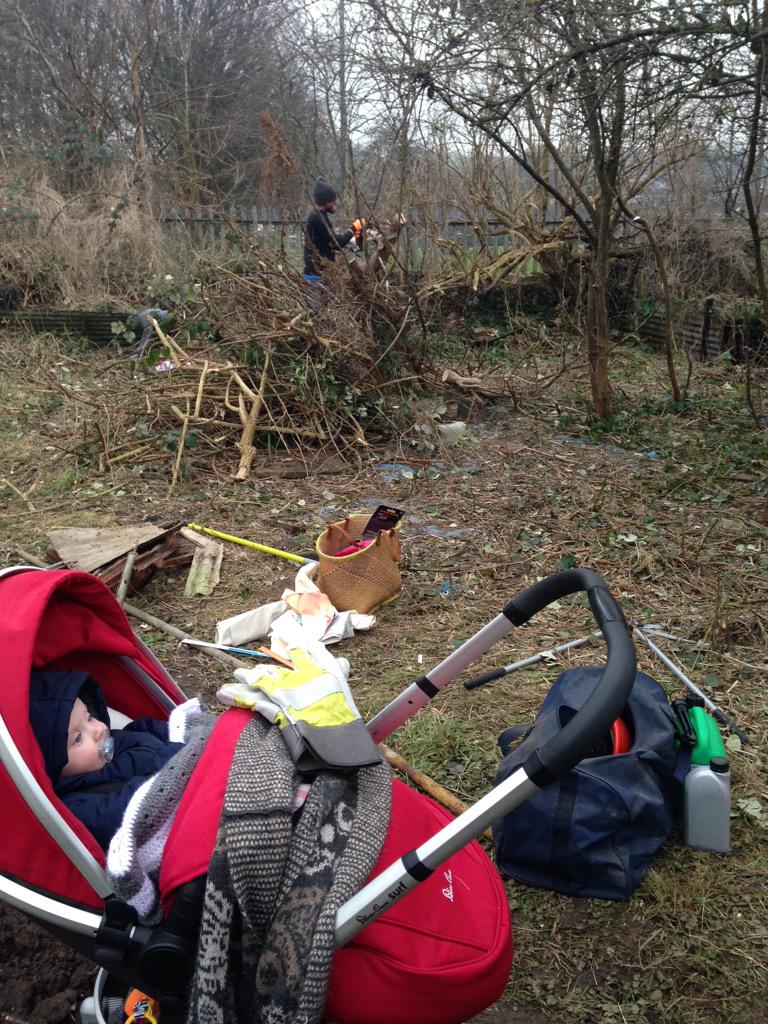 PLdecor's tweet image. Chainsaws bonfires and babies.  #greatbritishallotmentchallenge #healthandsafety