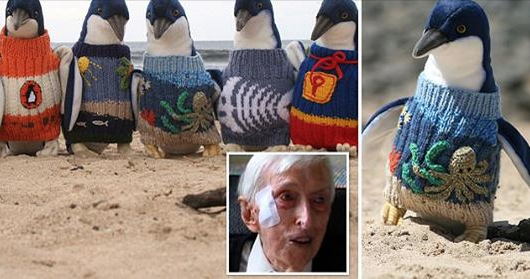 DailyMail's tweet photo. Australia's oldest man knits jumpers for penguins via @DailyMailAU http://t.co/zdzvB898V1 http://t.co/rPIOmoZIJQ