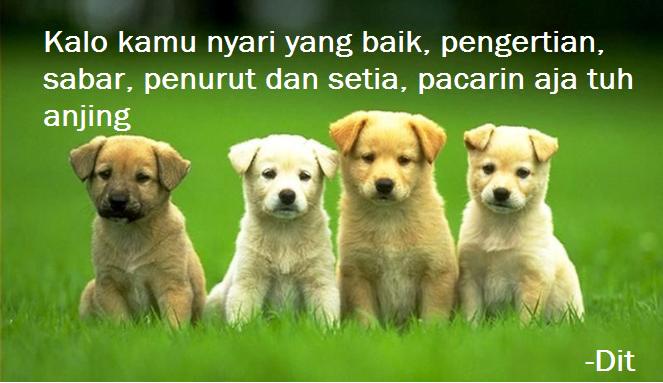 Muhammad Hanafi On Twitter Memecomicindo Raditya48th Dasar