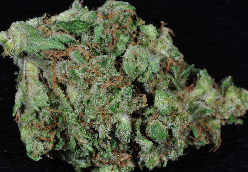MarijuanaPics_'s tweet photo. AK-47 👌 http://t.co/kfkVpsFvTE