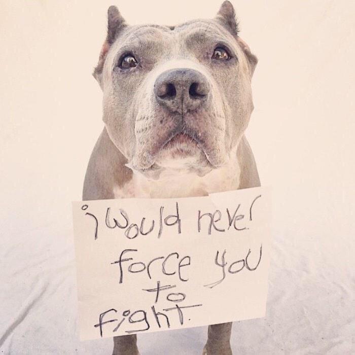 basicwhytechick's tweet photo. This breaks my heart 😢 http://t.co/aIJKPV1Db4