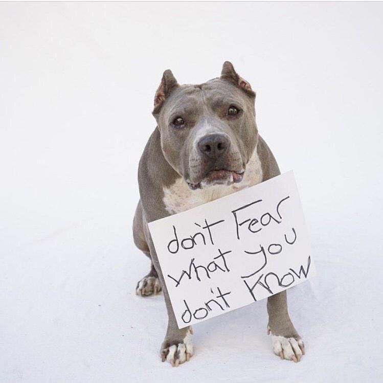 basicwhytechick's tweet photo. This breaks my heart 😢 http://t.co/aIJKPV1Db4