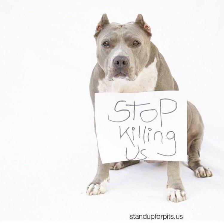 basicwhytechick's tweet photo. This breaks my heart 😢 http://t.co/aIJKPV1Db4