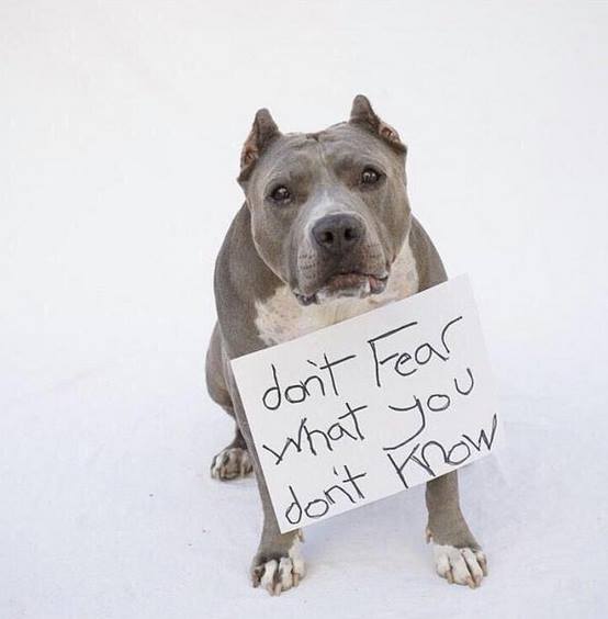 WolfpackAlan's tweet photo. This breaks my heart... http://t.co/EkIJnAWB7W