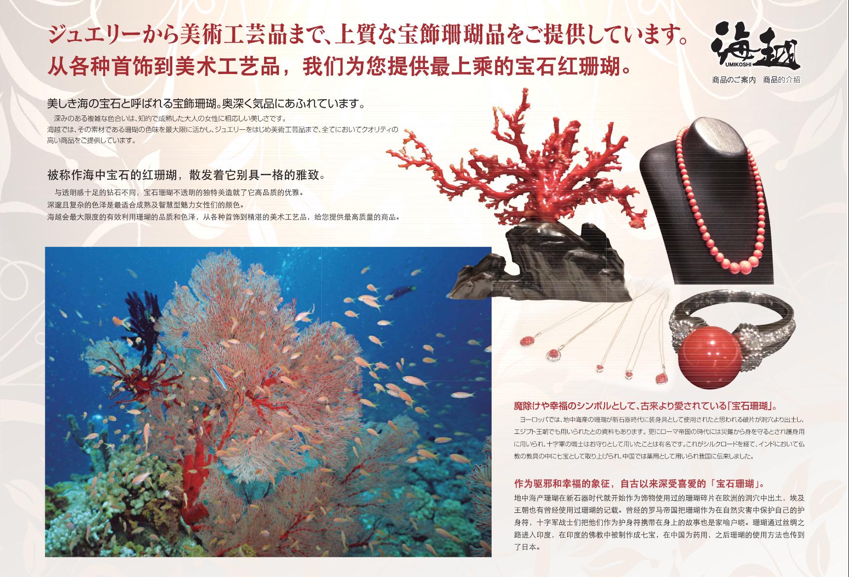 海越umikoshi なまこ 赤珊瑚on Twitter 海越なまこ ナマコと血赤珊瑚の紹介冊子です これを読めば皆さんナマコと珊瑚の知識や魅力が伝わると思います 海越海参和红珊瑚的宣传册子完成了 希望大家通过阅读我们的宣传册能了解到北海道海参和宝石红珊瑚的知识与魅力