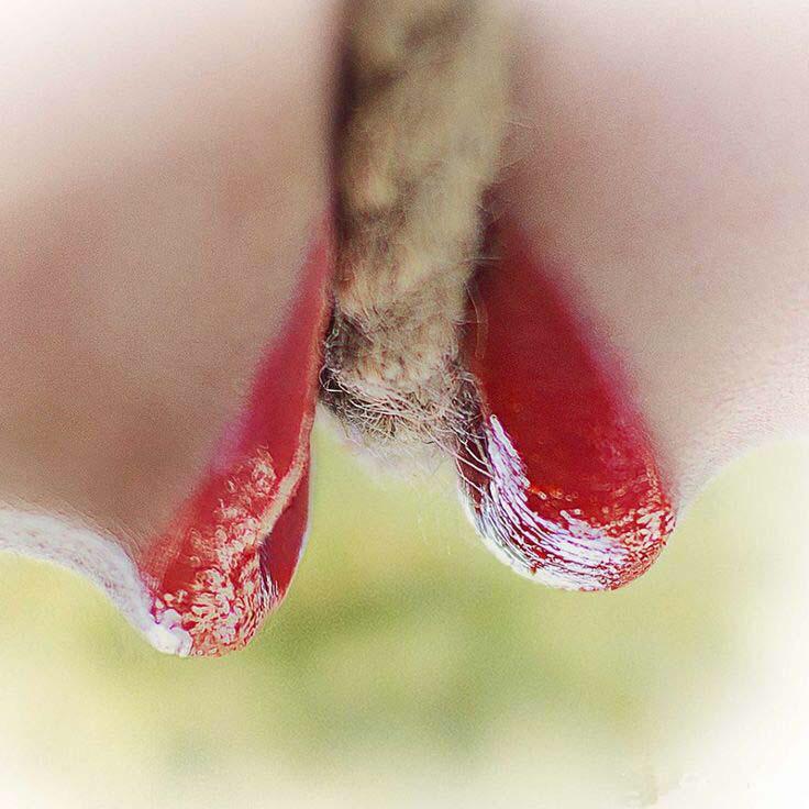 LiddleSavages's tweet image. You had me at rope 

#justfivewords
#HeartSoup