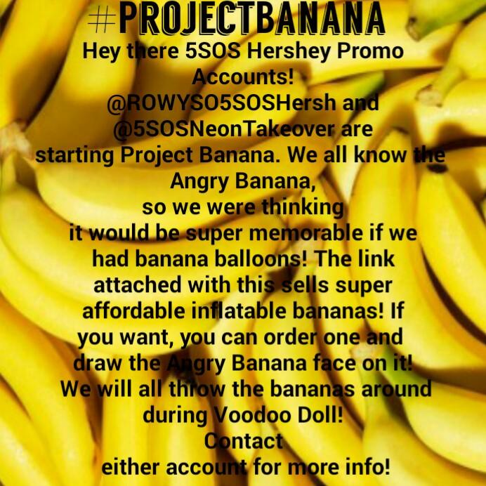 5SOSNeonHershey's tweet photo. #projectbanana http://t.co/fLs0kFRQ4c