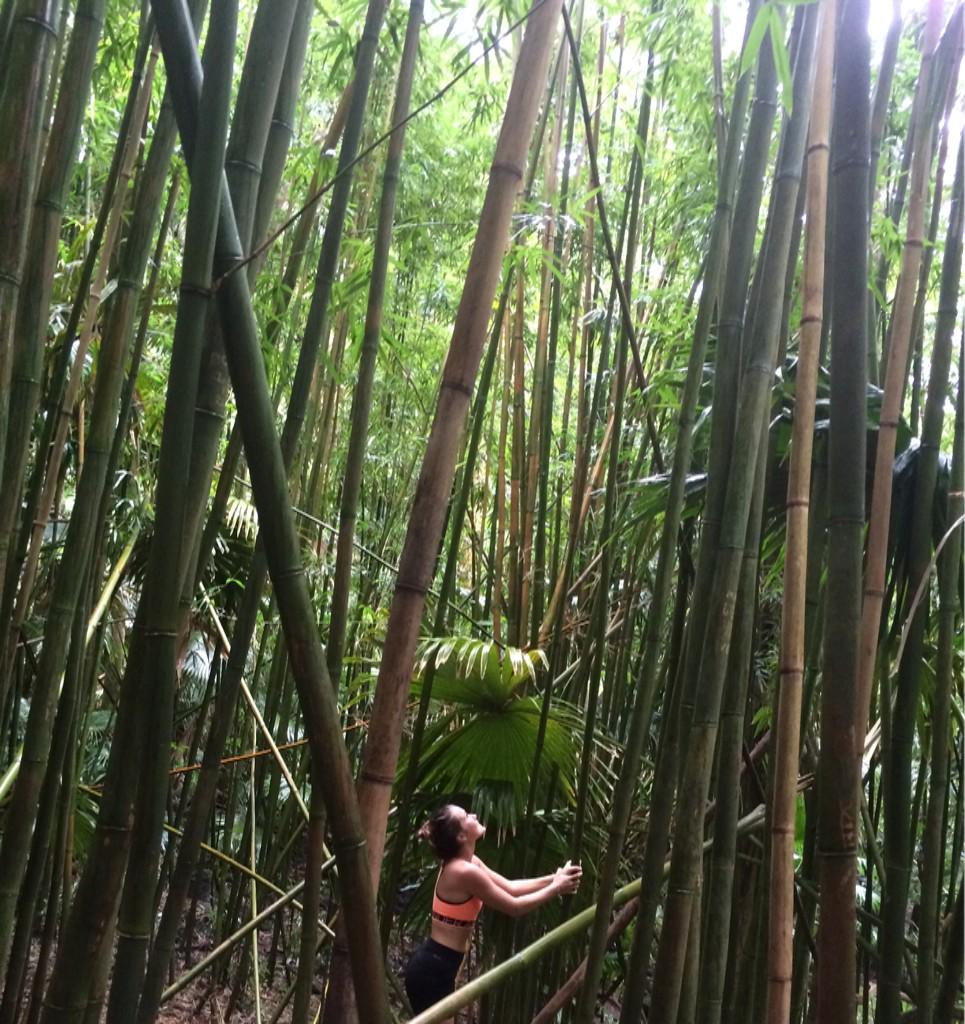elisaventure's tweet photo. Life is to be lived not controlled. Manoa bamboo forest http://t.co/pwJtrU8IYx
