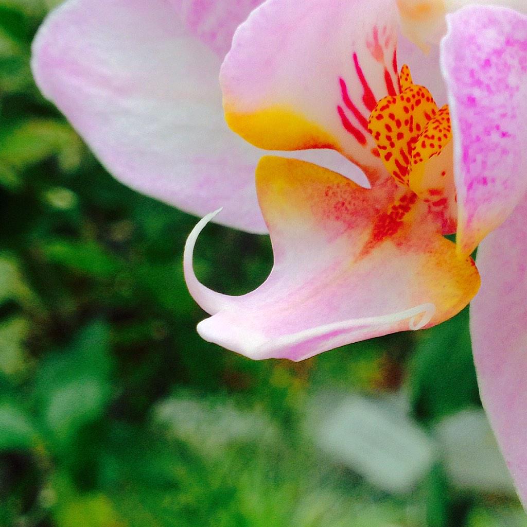 Troy Rep tweet media