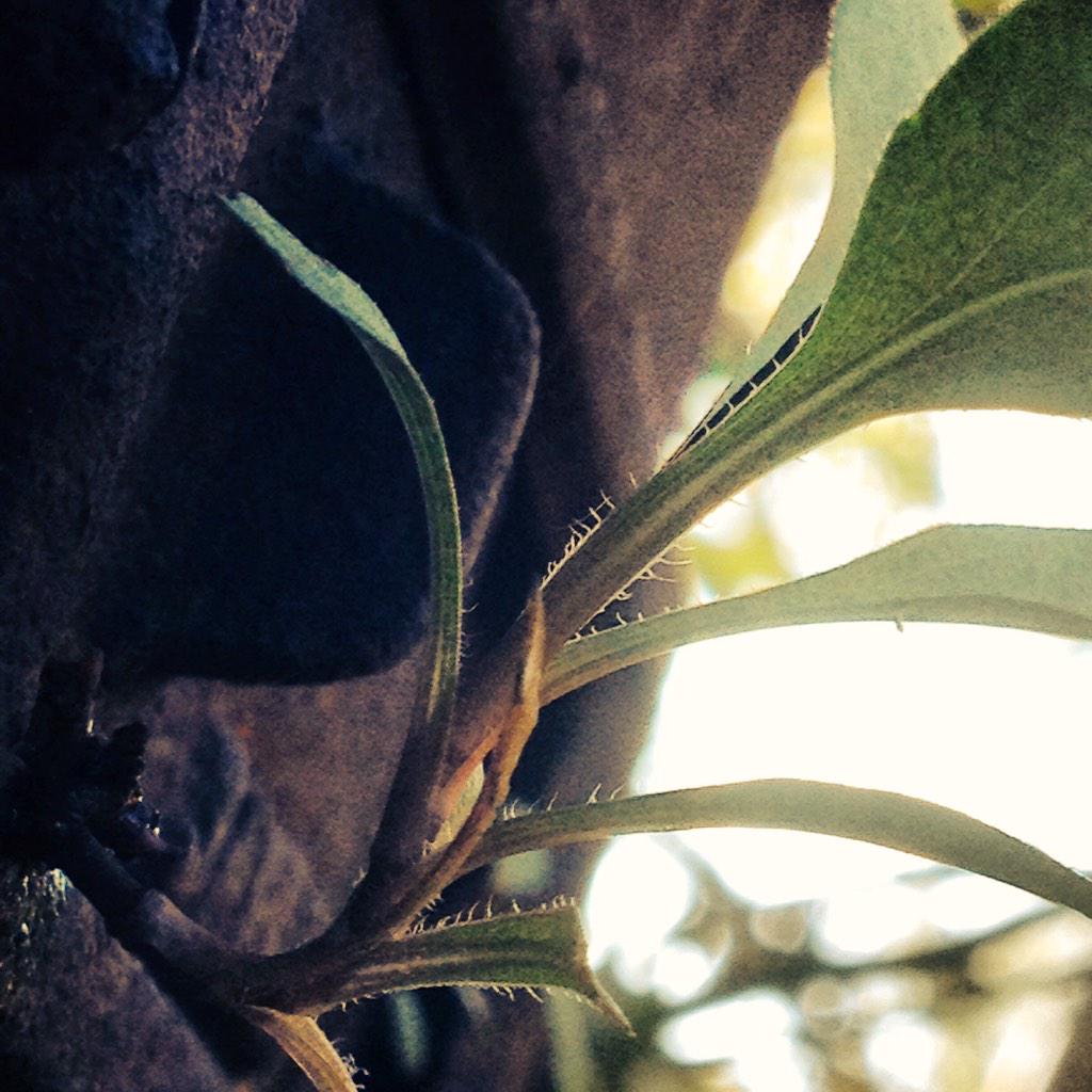 Troy Rep tweet media