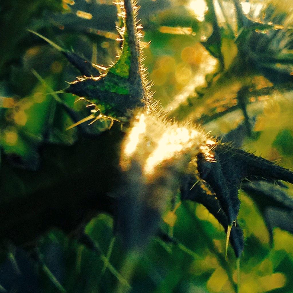 Troy Rep tweet media