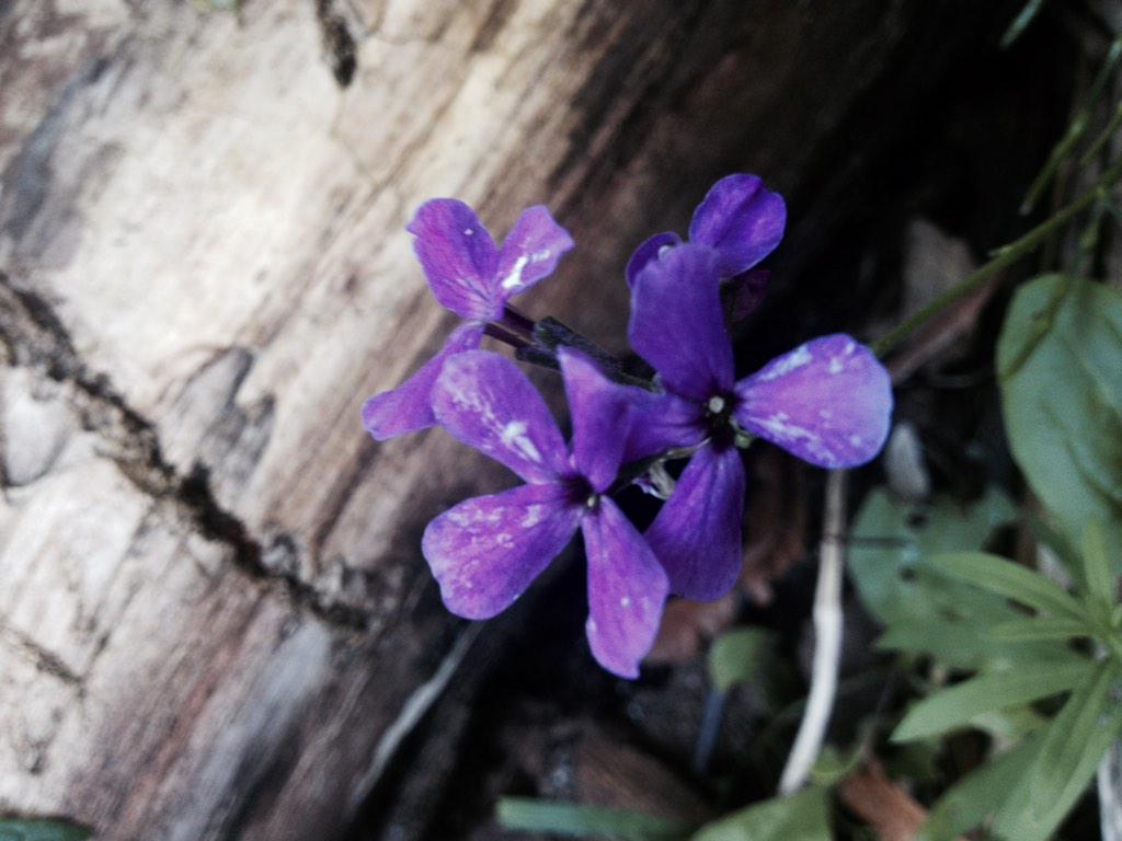 Troy Rep tweet media