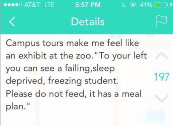 8_Semesters's tweet image. Campus tours...