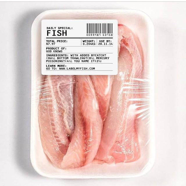 GreenpeaceAP's tweet photo. Do you know what's in the fish you are eating? #fishfairly #sustainable #fish http://t.co/jinldYNId4 http://t.co/GCtBYs2evv