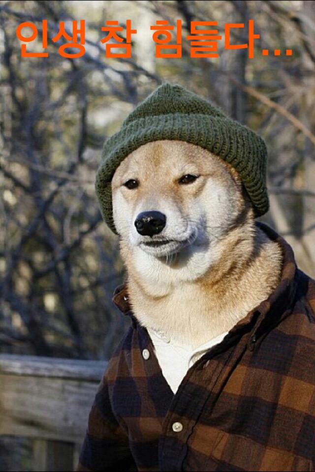 RT <a href="/gimseung/">짐승 태</a>: 동네 마실 나가시는 아자씨