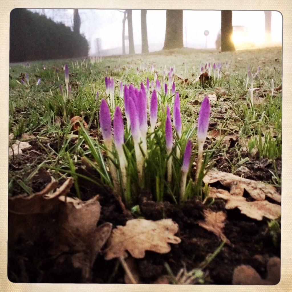 Voorjaar? Zij durven het al aan... #dapper