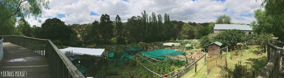 extras_please's tweet image. Living in the city, but want to escape to the country without the drive? Check our new post extrasplease.com/the-farm-cafe/ !