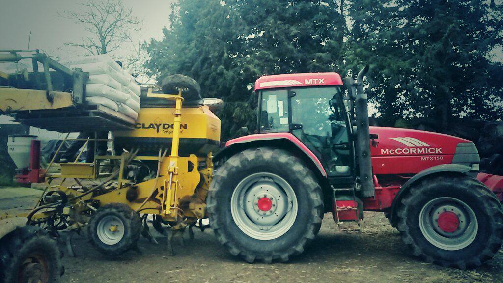 Spring beans (fuego) going in this morning