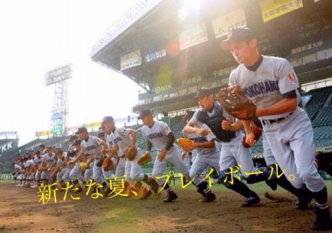 わたなべこうき。 tweet media