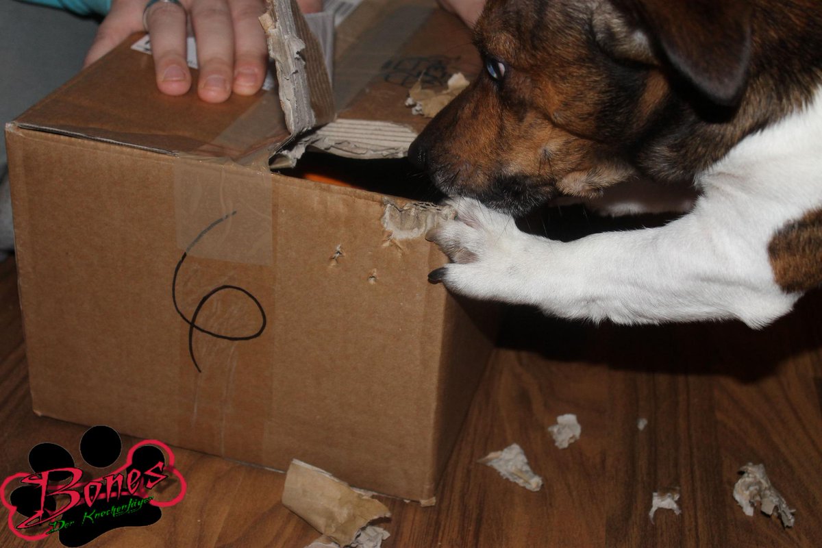 Paket aufmachen üben, heute kommt eins nur für mich!!!!