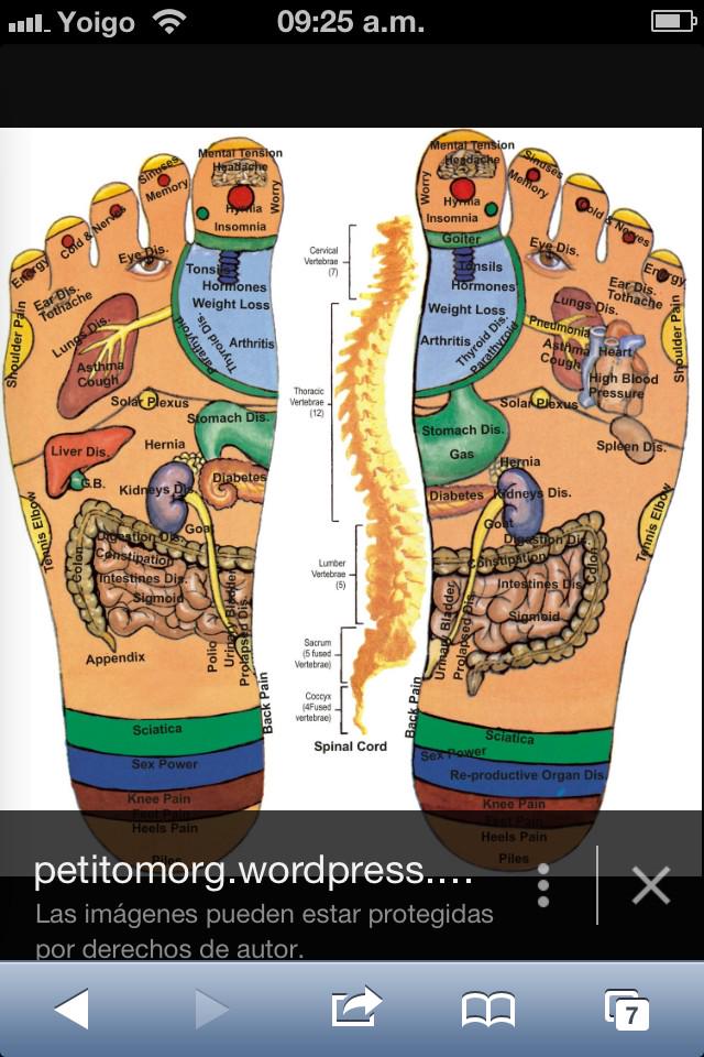 Reflexologiasev's tweet photo. Todos los Sistemas tienen sus ptos reflejos en los Pies. Tratándolos conseguimos el Equilibrio de ellos. http://t.co/CT6SqIDgiC