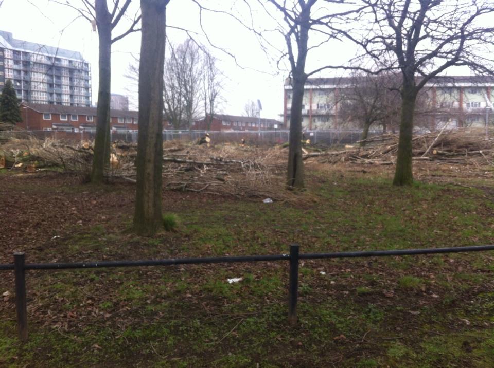 Tree carnage at the inner city Brunswick estate, all in the name of regeneration.