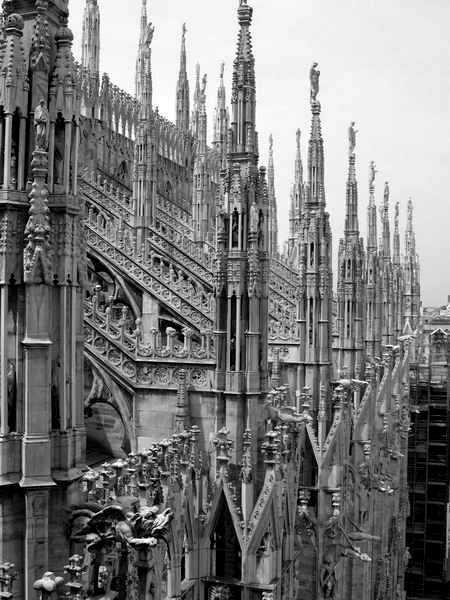 Mariano_FdB's tweet photo. #JuevesDeArquitectura 
250 escalones para contemplar la cubierta del Duomo di Milano.
#Arquitectura #Arquitectos #Art http://t.co/j9bgmuHGzH
