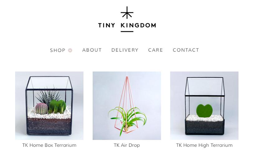 Tiny Kingdom tweet media