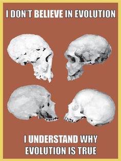 danielatalaya's tweet image. #DarwinDay #EvolutionIsAFact