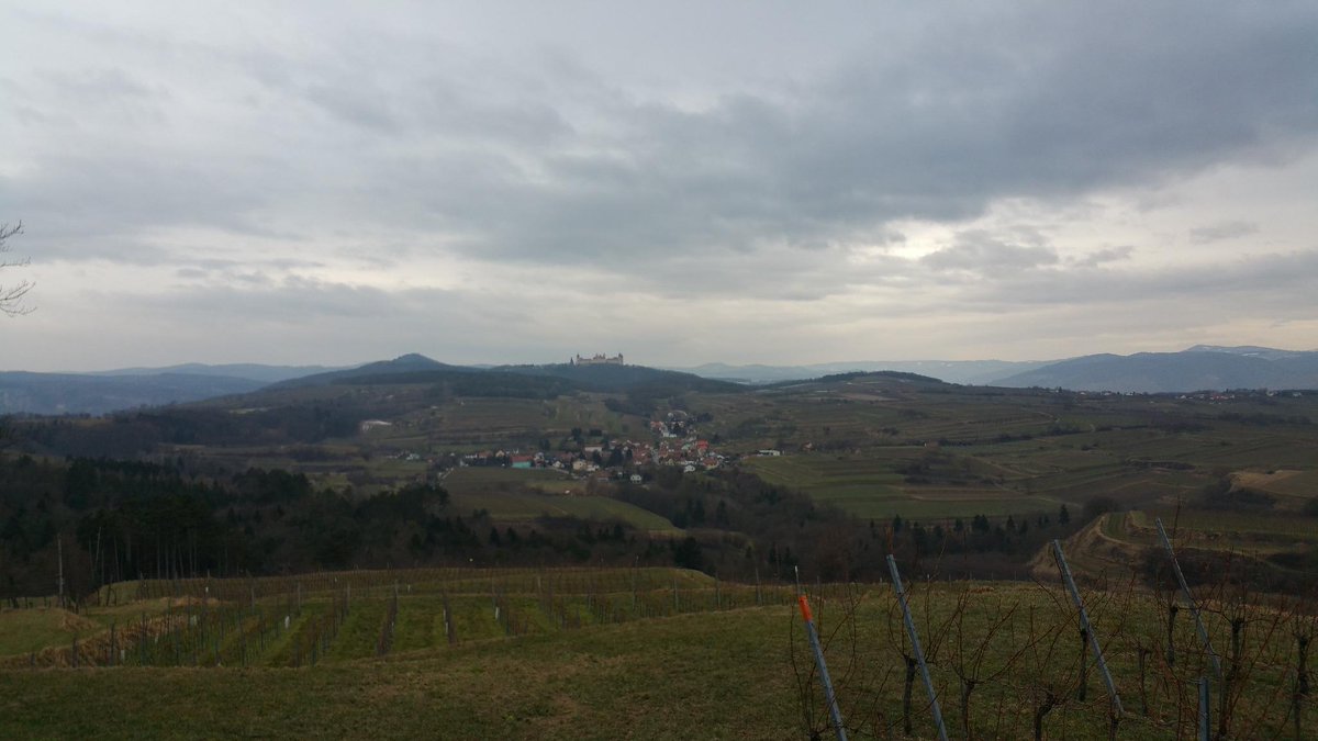 wineoftheday1's tweet photo. filming in #Kremstal http://t.co/CwUXFTzFUA