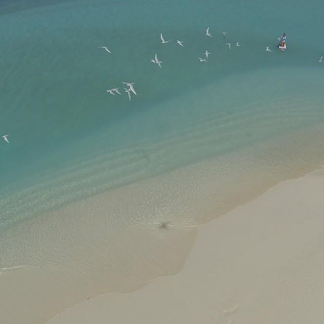dronodromo_com's tweet image. Paddling to the sandbank #Maldives #ToDiveFor #Drone #paddleboard #Lionfish by meylimiyaru