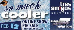 So Much Cooler online sale today, bidding now open on The Pig Planet dwlivestock.com/cgi-bin/mnlist…
