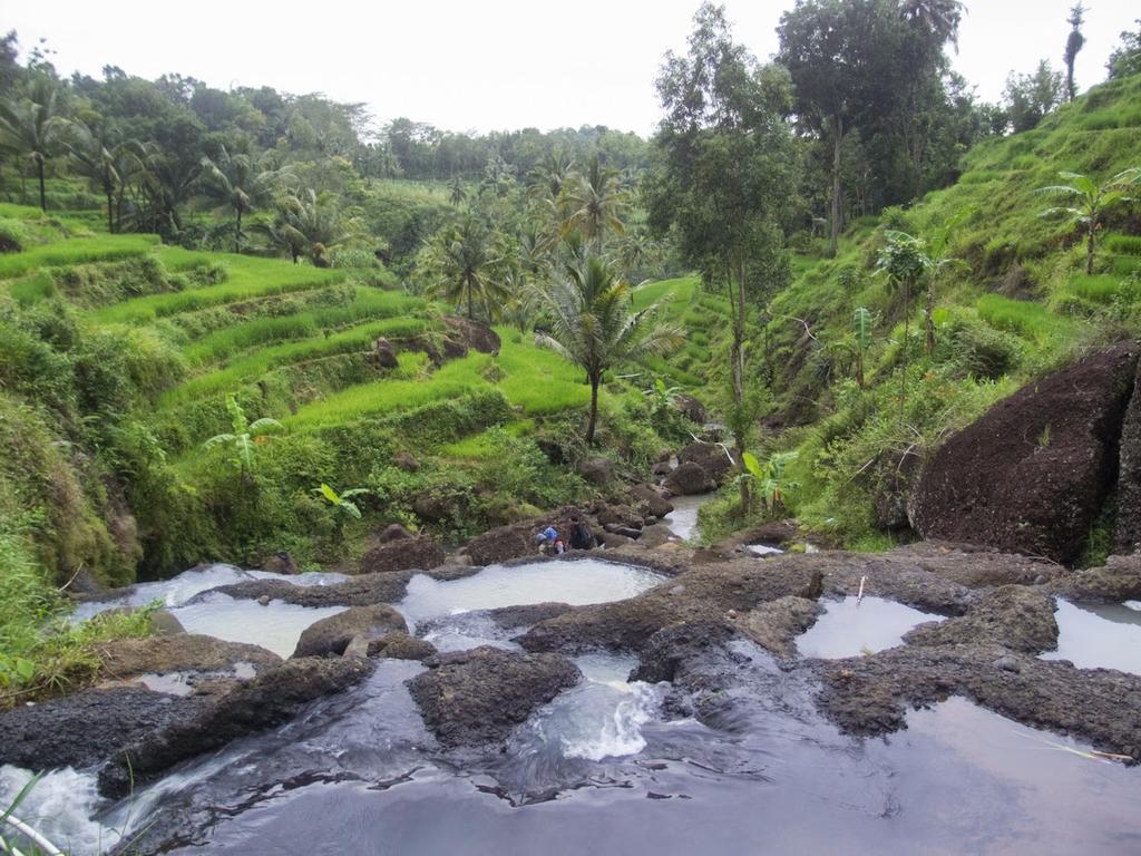 JogjaToday's tweet photo. #jogja @budiyono_aris: Air terjun kedung kandang teras iring persawahan sprti ubud bali versi di Jogja http://t.co/cYH9WcFB1c