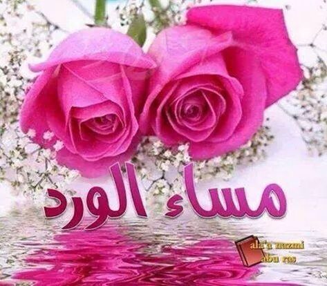 "<a href="/HanyHelaly1/">Hany Helaly</a>: <a href="/marikafree/">ماريكا ابواسماعيل</a> <a href="/hamd7r/">ĥẫм͠ẫĎ</a> <a href="/gigim9871/">مدام جيجى</a> @7nanabozyd <a href="/magdymobark21/">Eng'magdy mobark</a> "