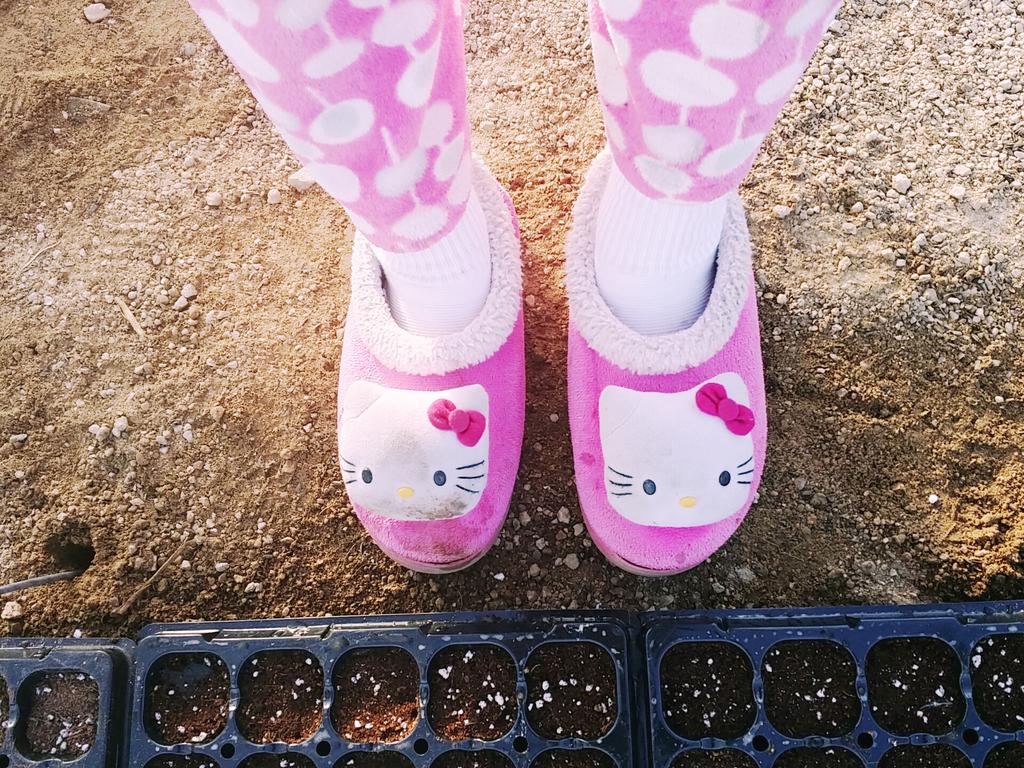 Silex2_'s tweet photo. 오늘도밭에서 일하고 실내화키티싱고~~~♡ 주둥이에뭘뭍혀놔써 ㅎㅅㅎ http://t.co/XJ76GsbcK6