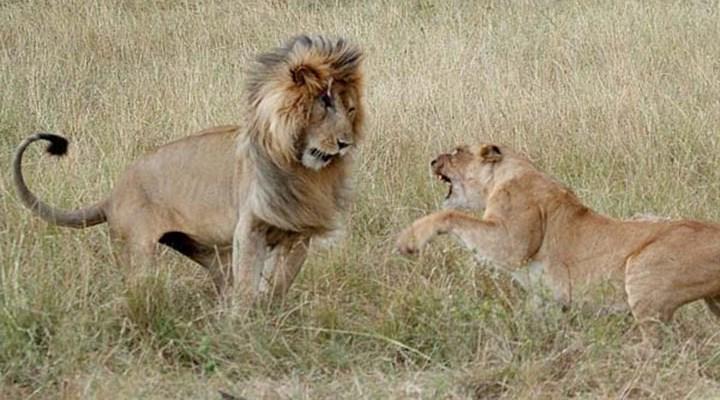 Korkunç kavga böyle görüntülendi GÖZÜNÜ ÇIKARTTI goo.gl/i9uMyn <a href="/bugun/">Bugun Gazetesi</a>