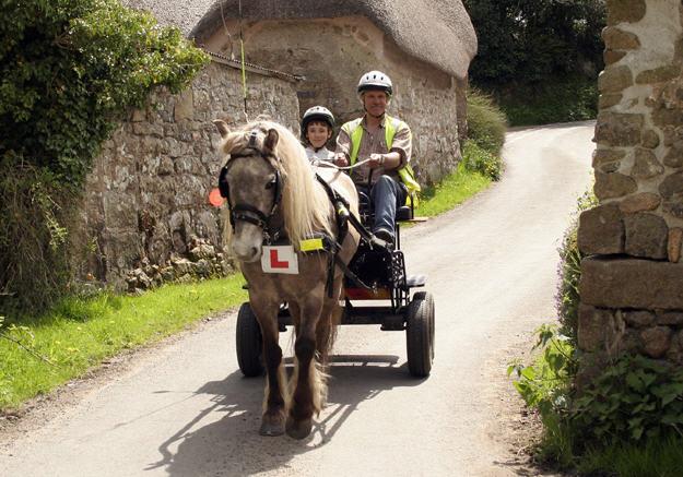 "Learning is a treasure that will follow its owner everywhere" Carriage Driving is great, great fun
