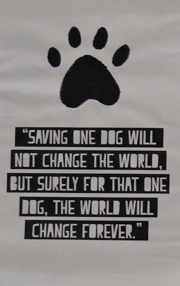 PawPrints2015's tweet photo. #leaveyourprint @LoyalistCollege @800CJBQ @Rock_107 @955hitsfm @91XHeadlines http://t.co/aNJF14xp4H