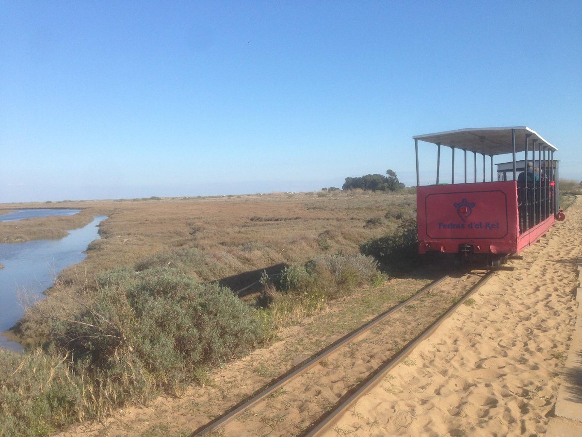 Picturay's tweet photo. Take this little train to the lovely #beach praia do barril in #tavira #portugal #algarve http://t.co/ZSxYTFscIb