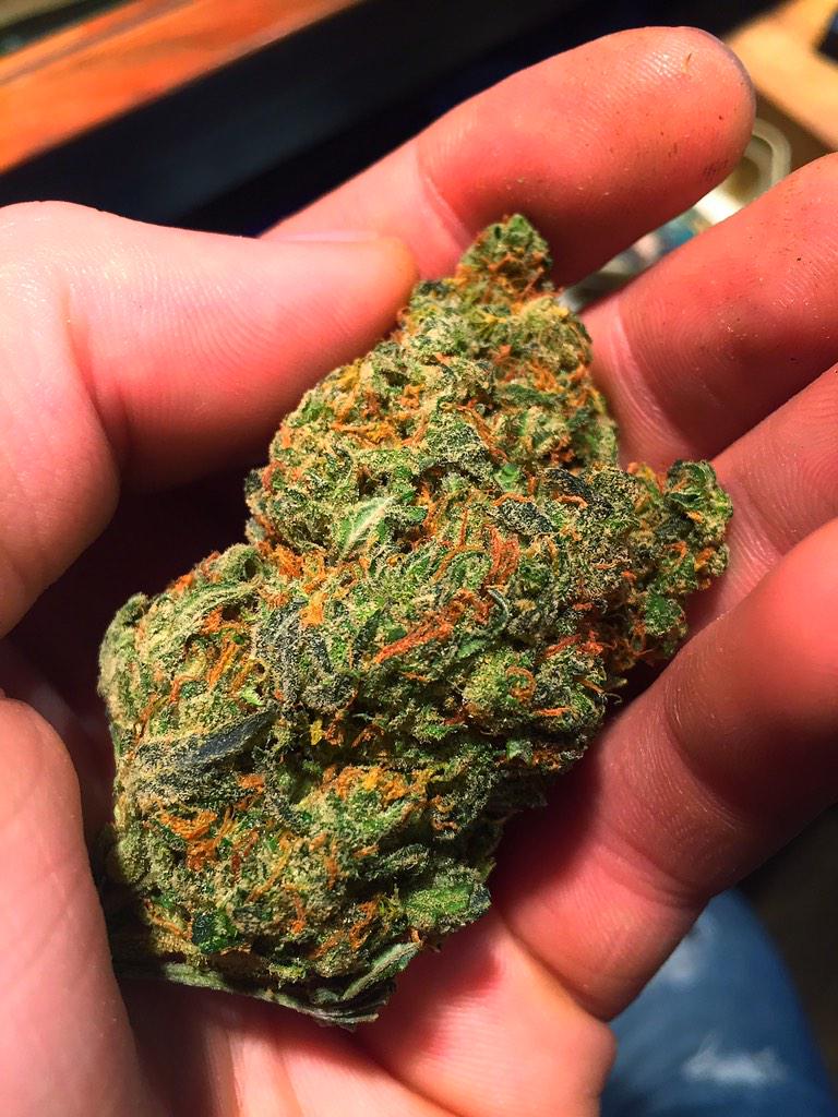 weedstagram420's tweet photo. Super lemon http://t.co/UlVsyhTcD3
