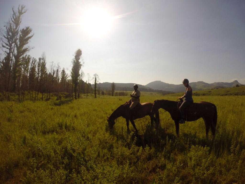 TRAVELUPDATERSA's tweet photo. Exploring #Mlilwane #Swaziland on the #Chubeka horse trails is such an unique experience. @BigGameParks http://t.co/RDxAMA0Cb9