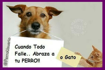 Cuando todo falle….