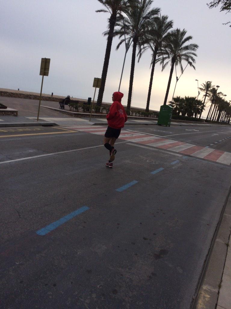 kLoughrantr's tweet image. Late afternoon run and agility session with @Reddingpower looking sharp!!! All over it!! @marcvdsracing